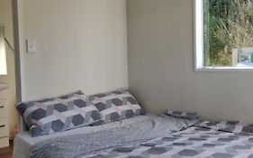 Wanaka Plantation Road Room